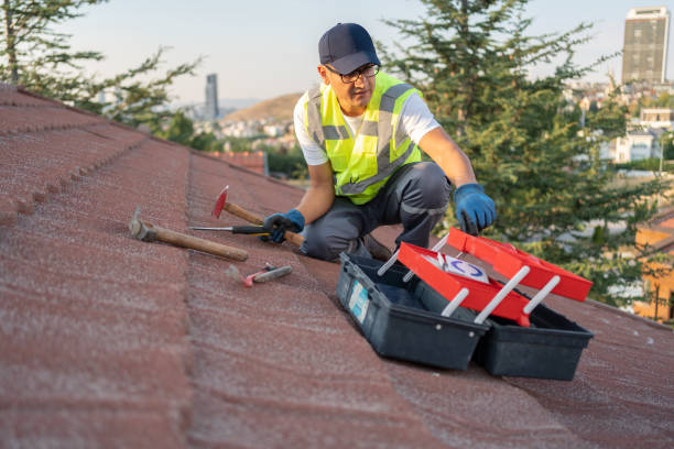 Best Wood Siding Installation  in Rainbow, CA